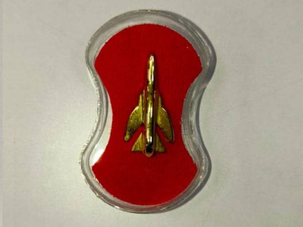 Red Enamel Fighter Jet Pin with Gold Aircraft Unique Curved Military Aviation Lapel Pin for Air ForceMilitary Collectors